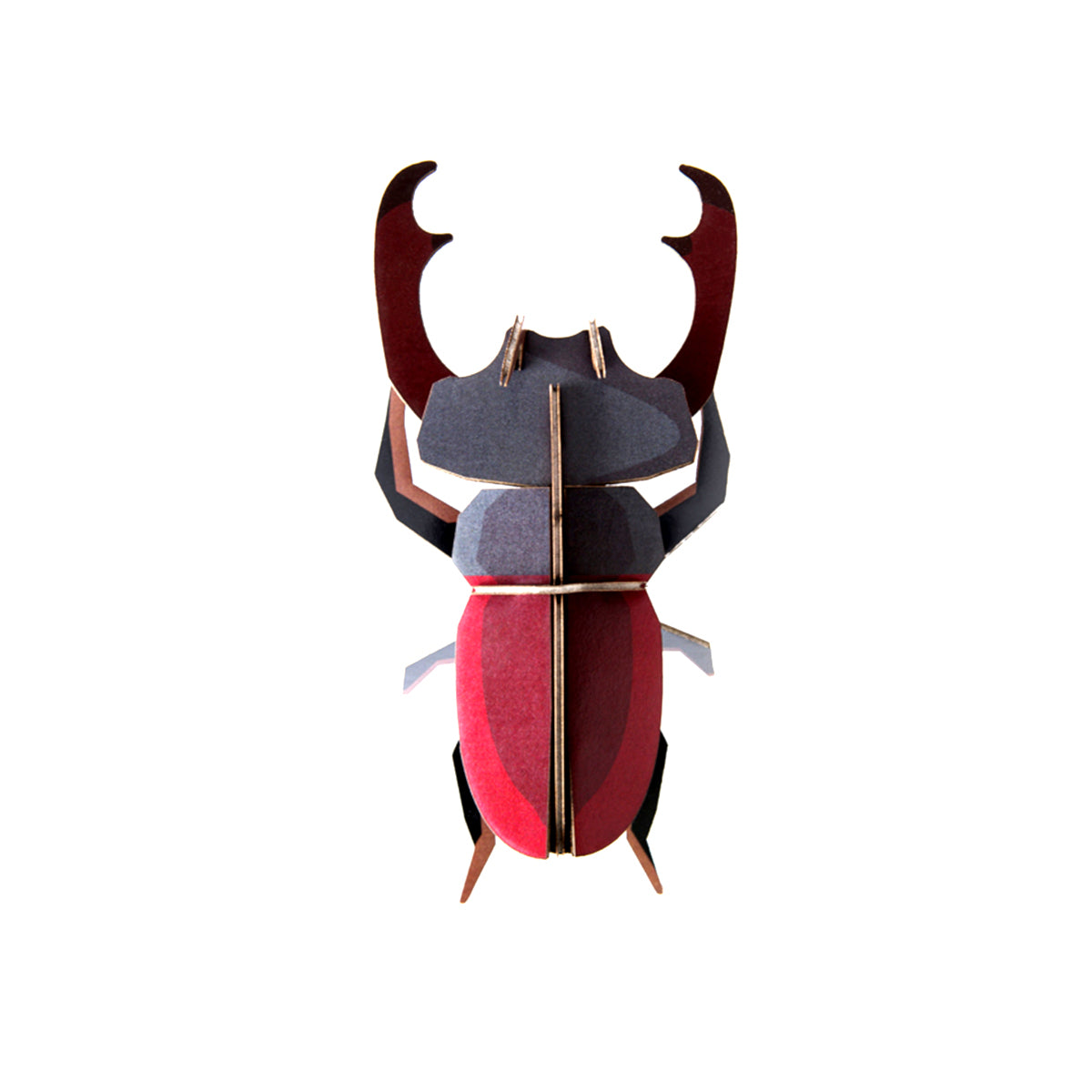 Beetles 3D Wall Art