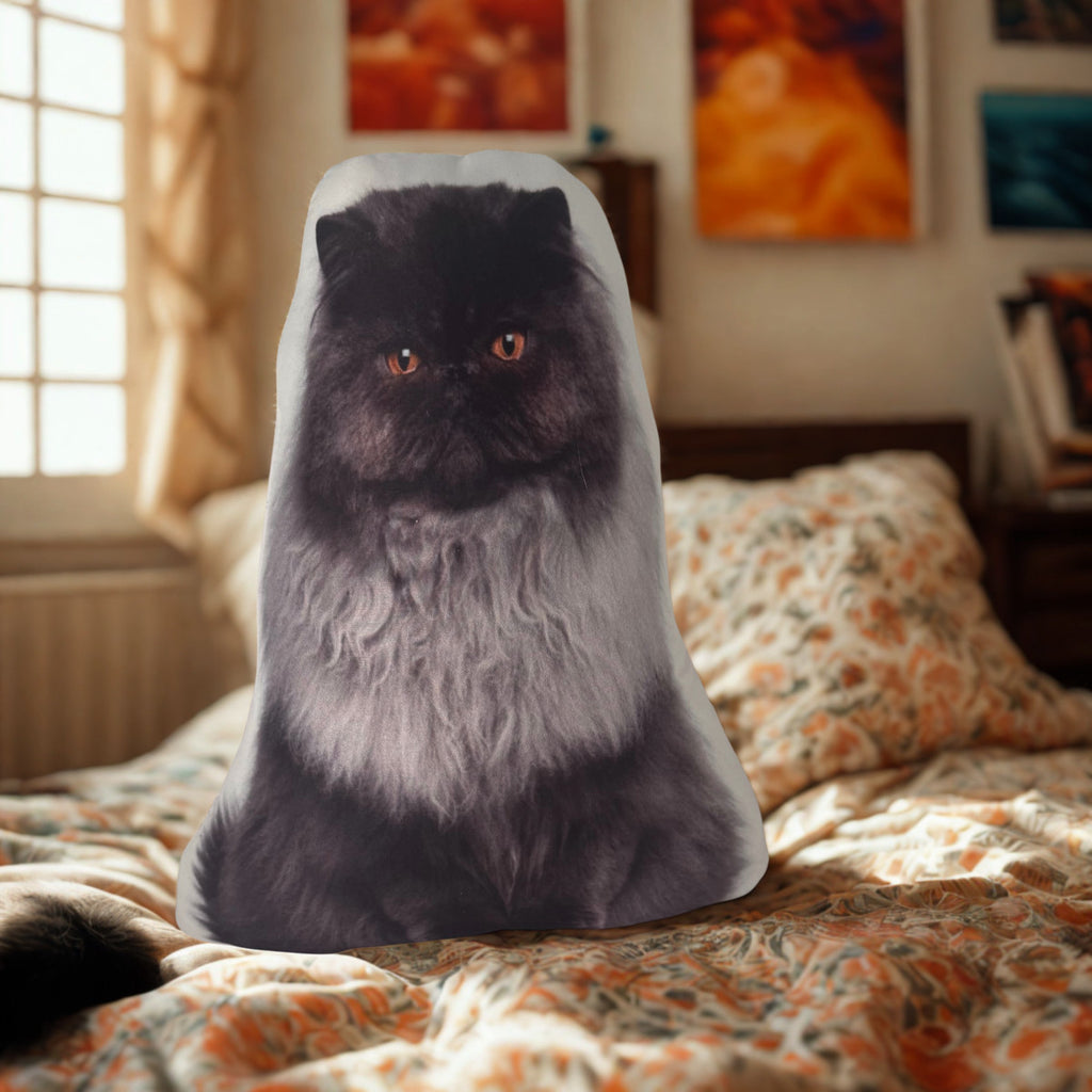 Cat Pillows