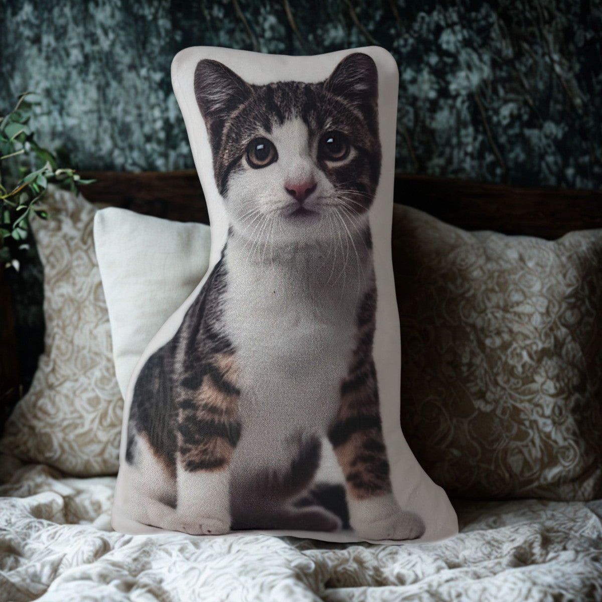 American WIrehair