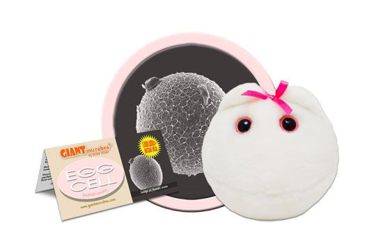 Egg Cell Plushie