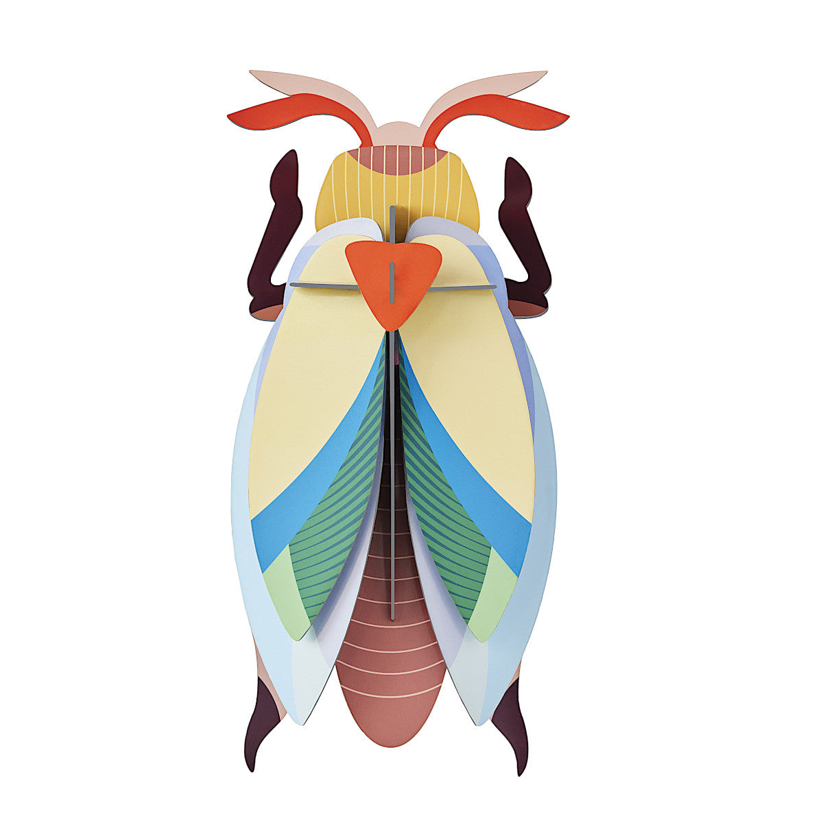 Lunar Jewel Beetle