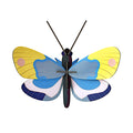 Butterflies 3-D Wall Art