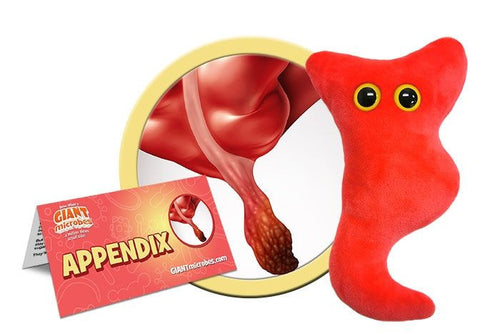 Appendix Pluhie