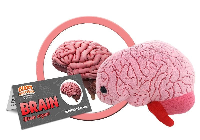Brain Plushie