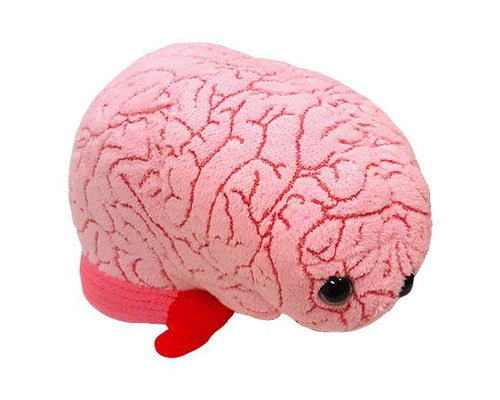 Brain Plushie