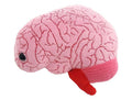 Brain Plushie