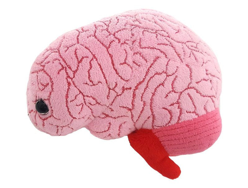 Brain Plushie