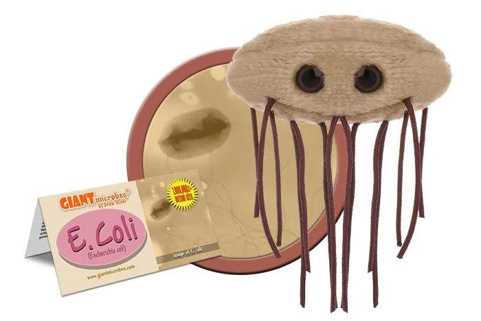 E Coli Plushie