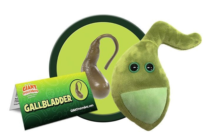 Gallbladder Plushie