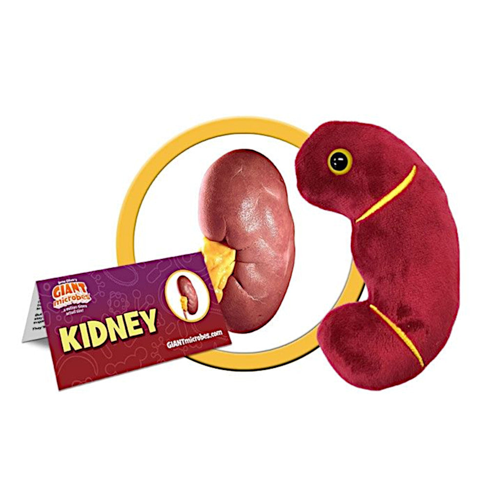 Kidney Plushie