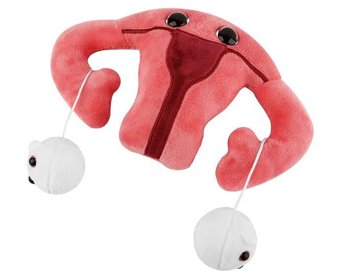 Uterus Plushie