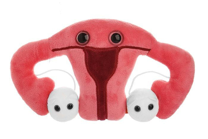 Uterus Plushie